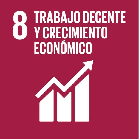 Trabajo Decente y Crecimiento Económico